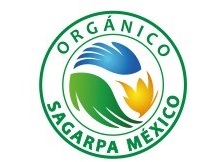 Exporters of Mexican Avocado Avocados